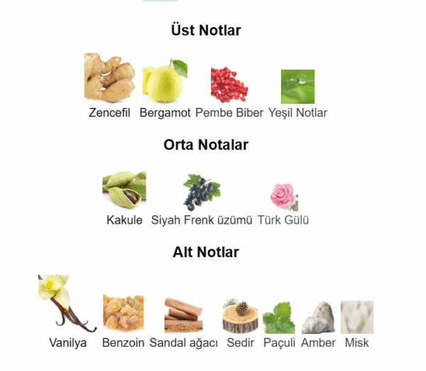 NİSHANE - ANİ - Görsel 2